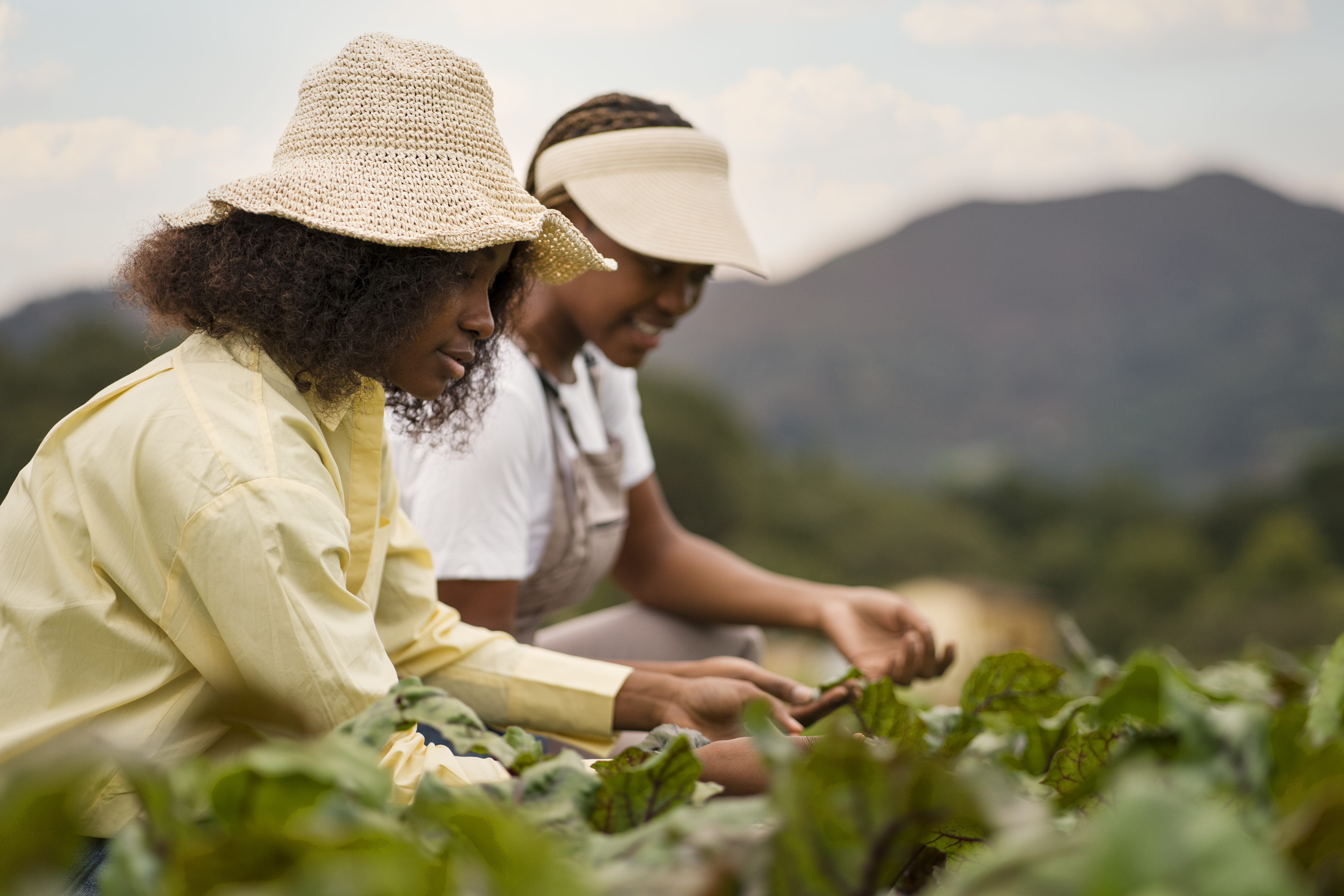 Food Security Training