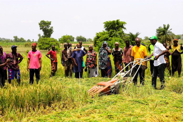 Food Security Training