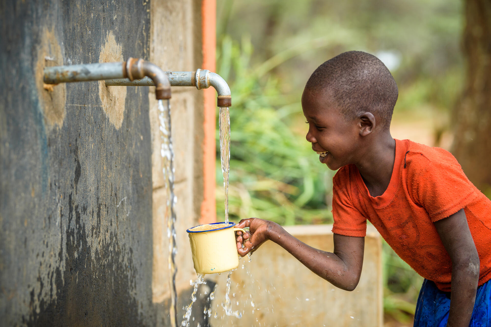 WASH SectSor Training