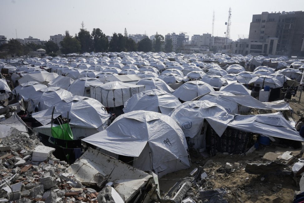 Shelter Sector Training